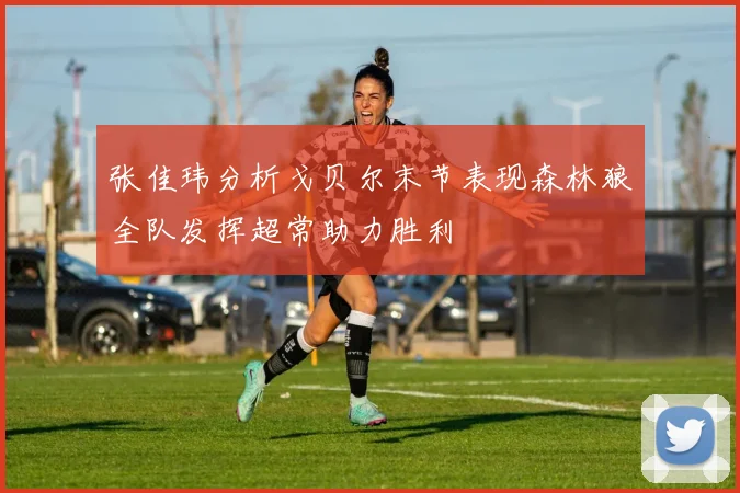 张佳玮分析戈贝尔末节表现森林狼全队发挥超常助力胜利