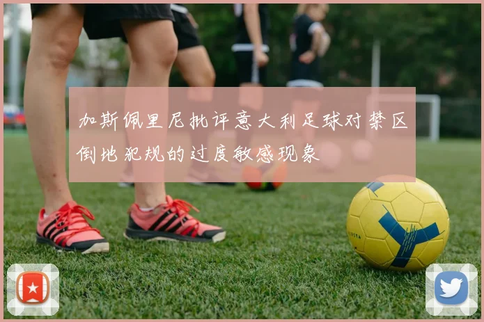 加斯佩里尼批评意大利足球对禁区倒地犯规的过度敏感现象