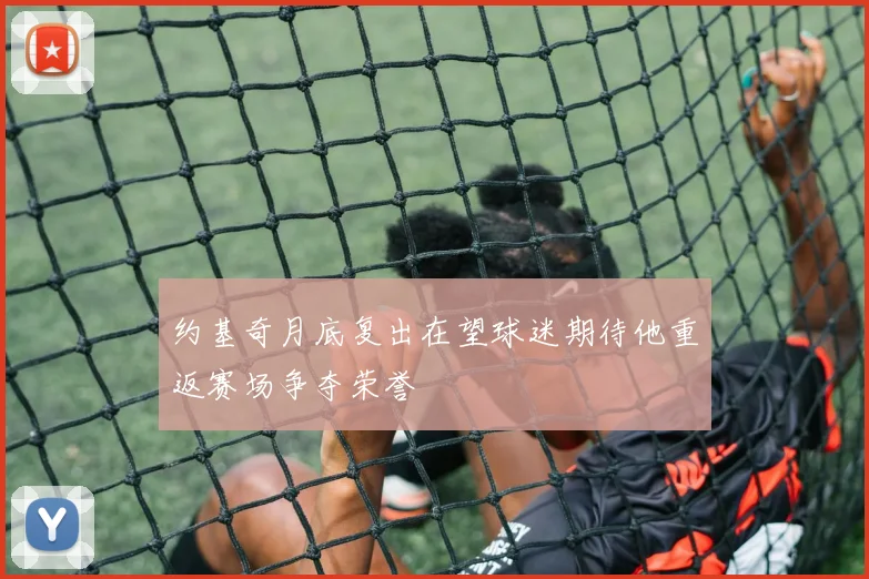 约基奇月底复出在望球迷期待他重返赛场争夺荣誉