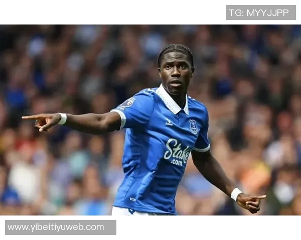 埃弗顿寻求前锋引援目标锁定托尼与齐尔克泽阿尔特塔坚决不放热苏斯 埃弗顿寻求前锋引援目标锁定托尼与齐尔克泽阿尔特塔坚决不放热苏斯