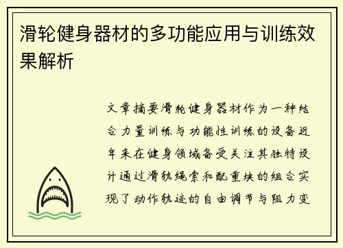 滑轮健身器材的多功能应用与训练效果解析